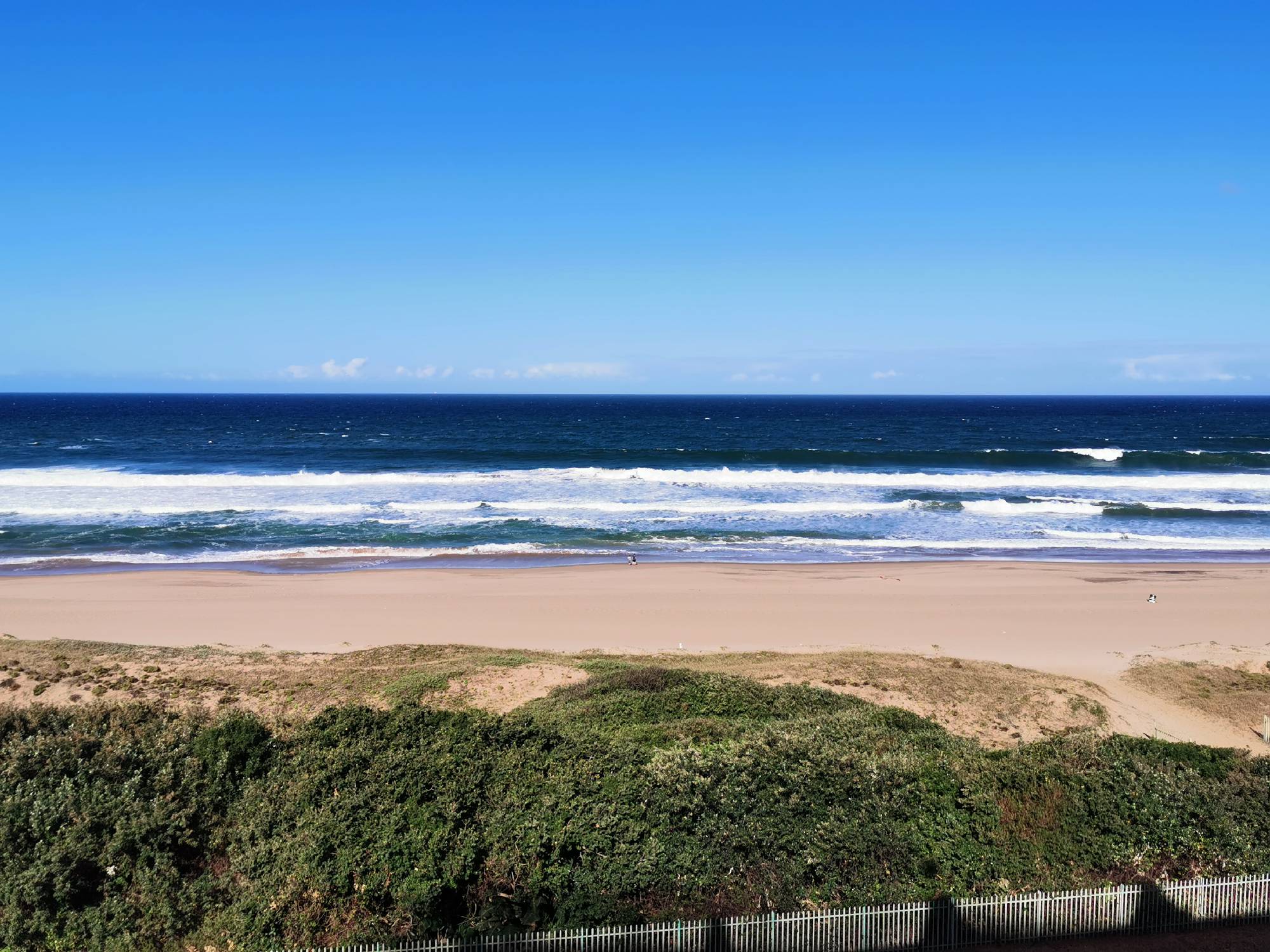 Sandy beach with waves crashing under a clear blue sky bordered by greenery